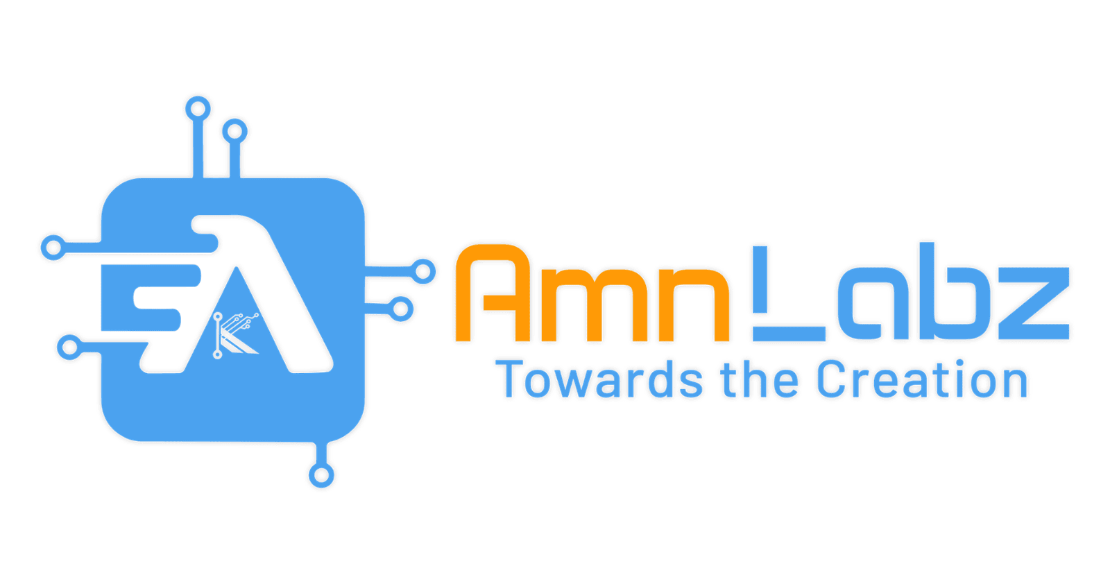 AmnLabz